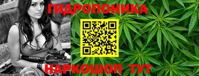 марки nbome Гусь-Хрустальный